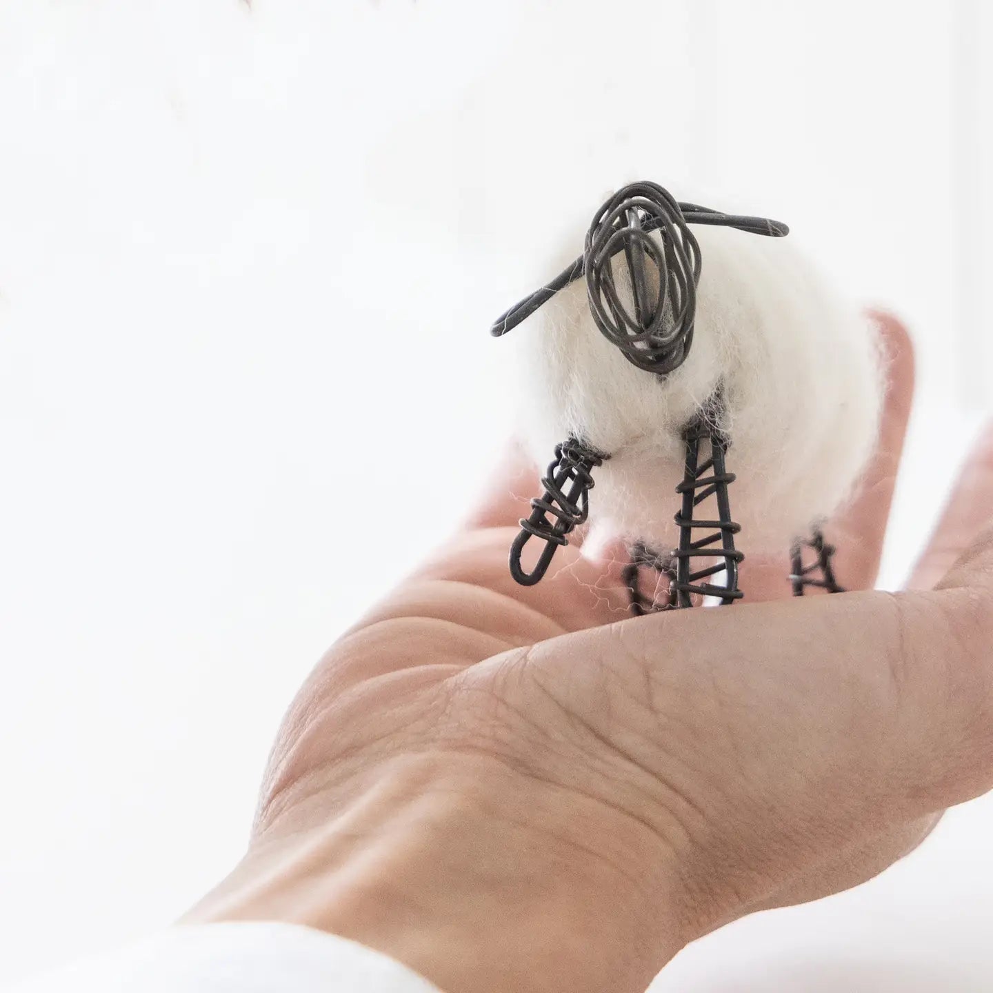 Borrego de la Fortuna - A Symbol of Abundance and Good Luck