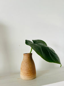 Hand-crafted Bud Vase