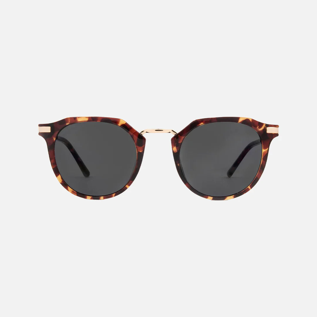 Frankie Gloss Tortoise Gold Metal Frame