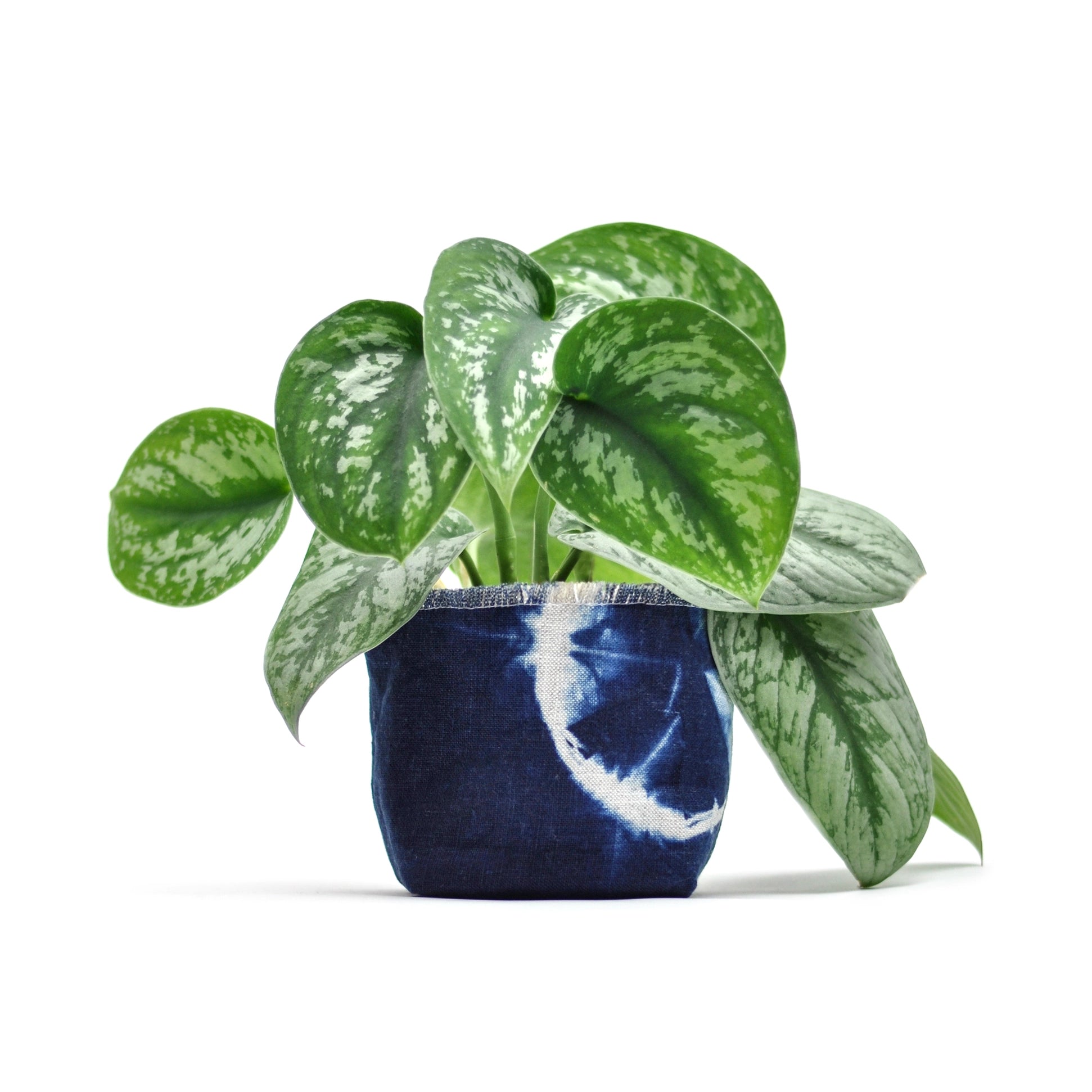 Shibori Indigo Planter - 4"