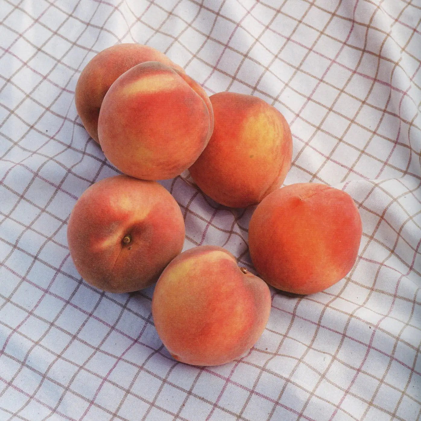 Certified Organic Sun Crest Peach Fruit Spread
