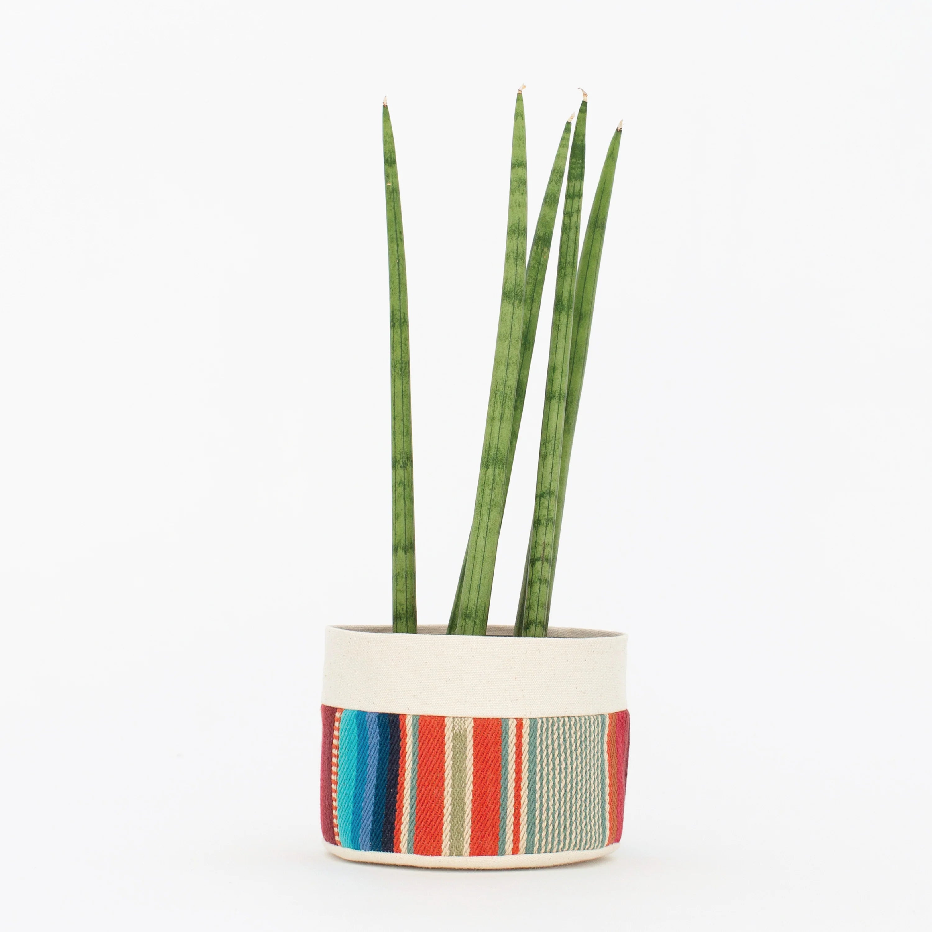 Medium Canvas Sitting Planter - Red + Blue