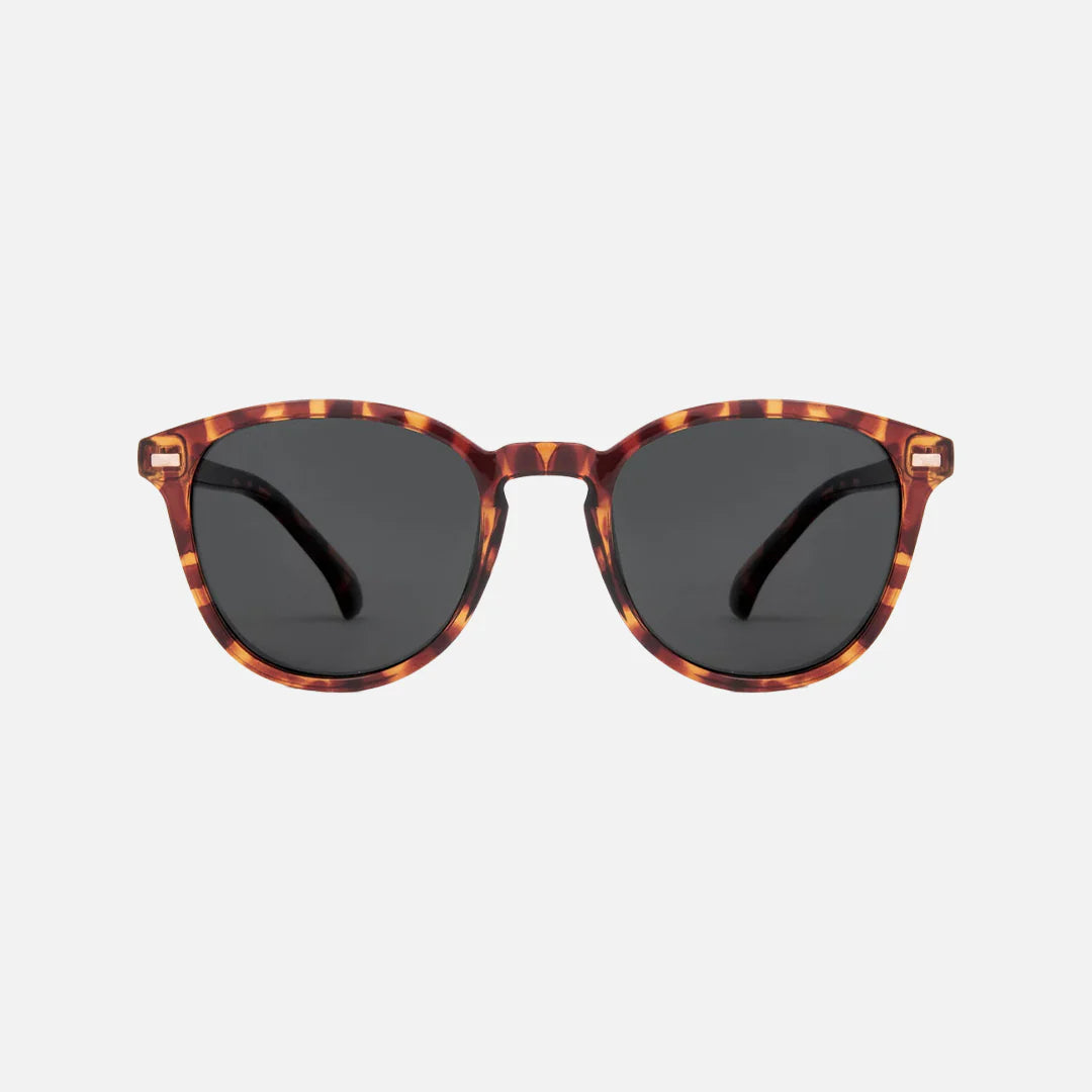 Oslo Gloss Tortoise Frame - Polarized Lens