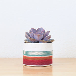 Small Canvas Sitting Planter - Red + Blue No 5