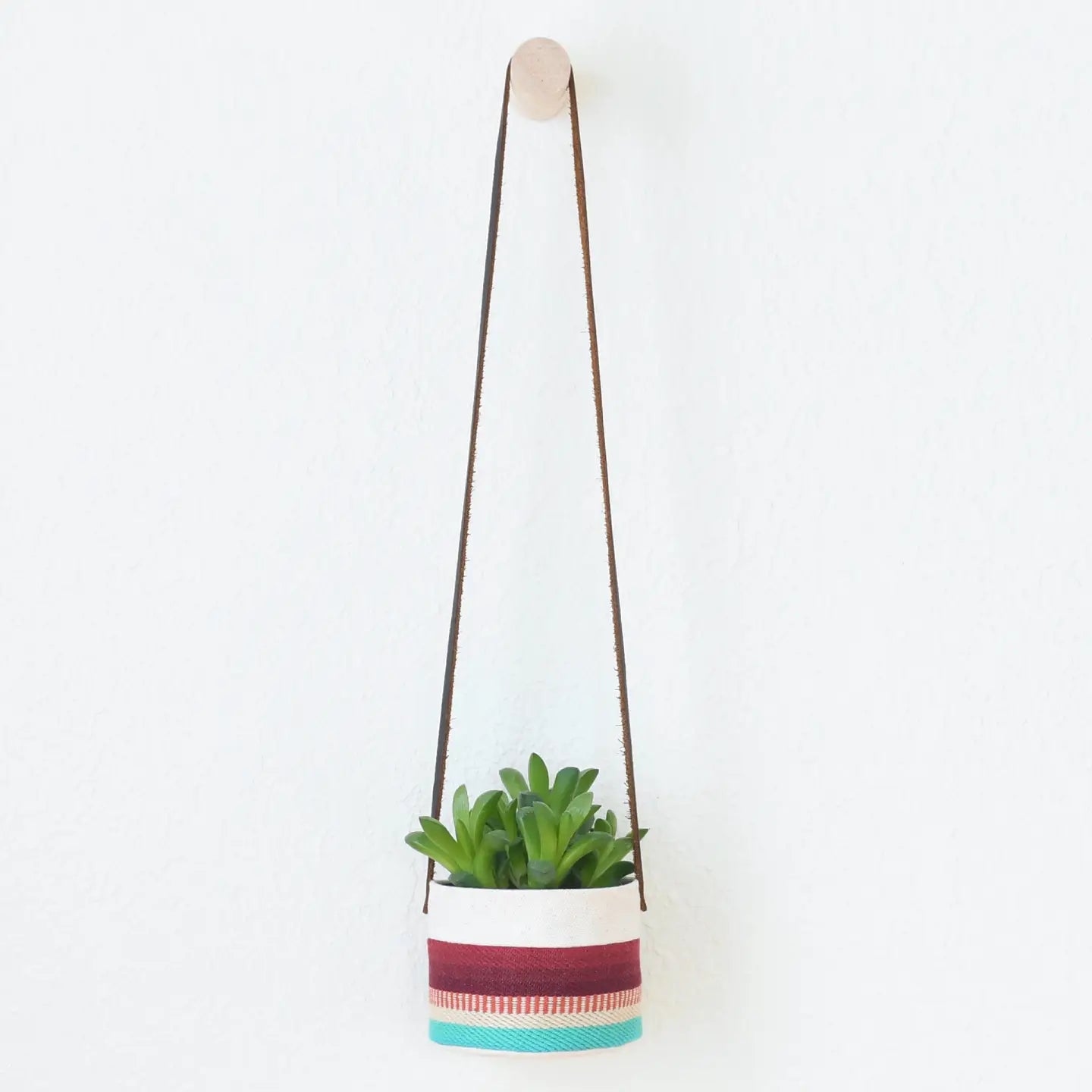 Small Canvas Hanging Planter - Red + Blue 11