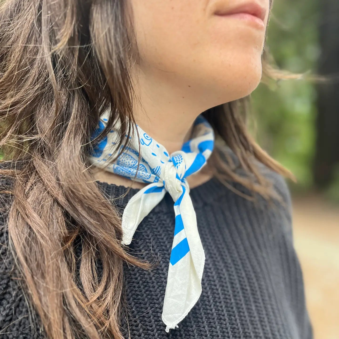 Summer Picnic Bandana