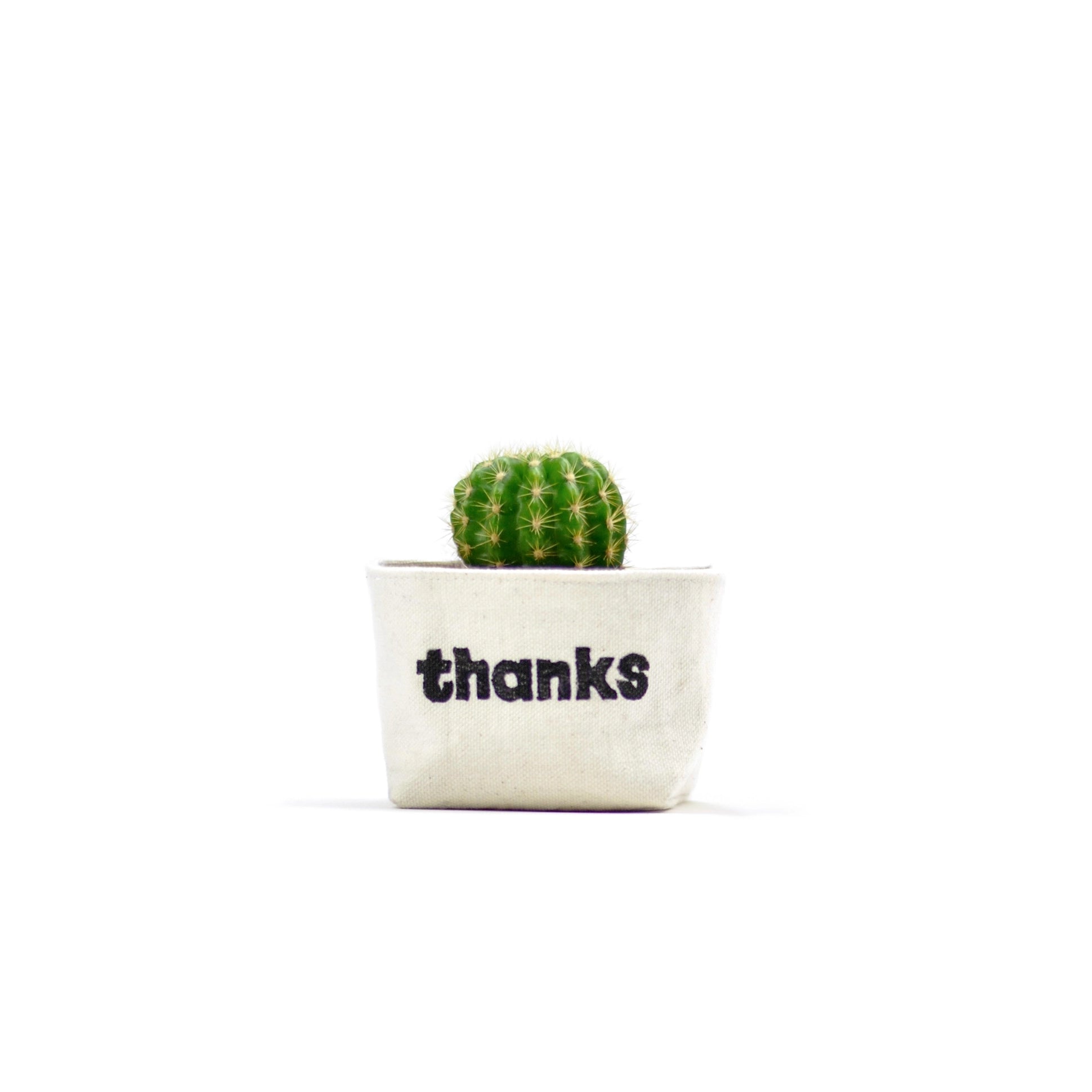 2.5" Shibori Indigo Planter - Thanks