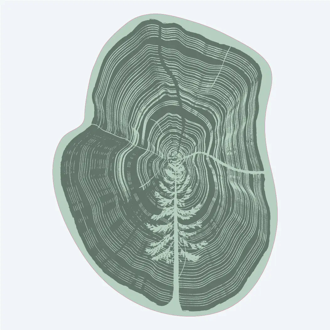 Tree in a Tree Sticker