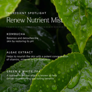 Renew Nutrient Mist