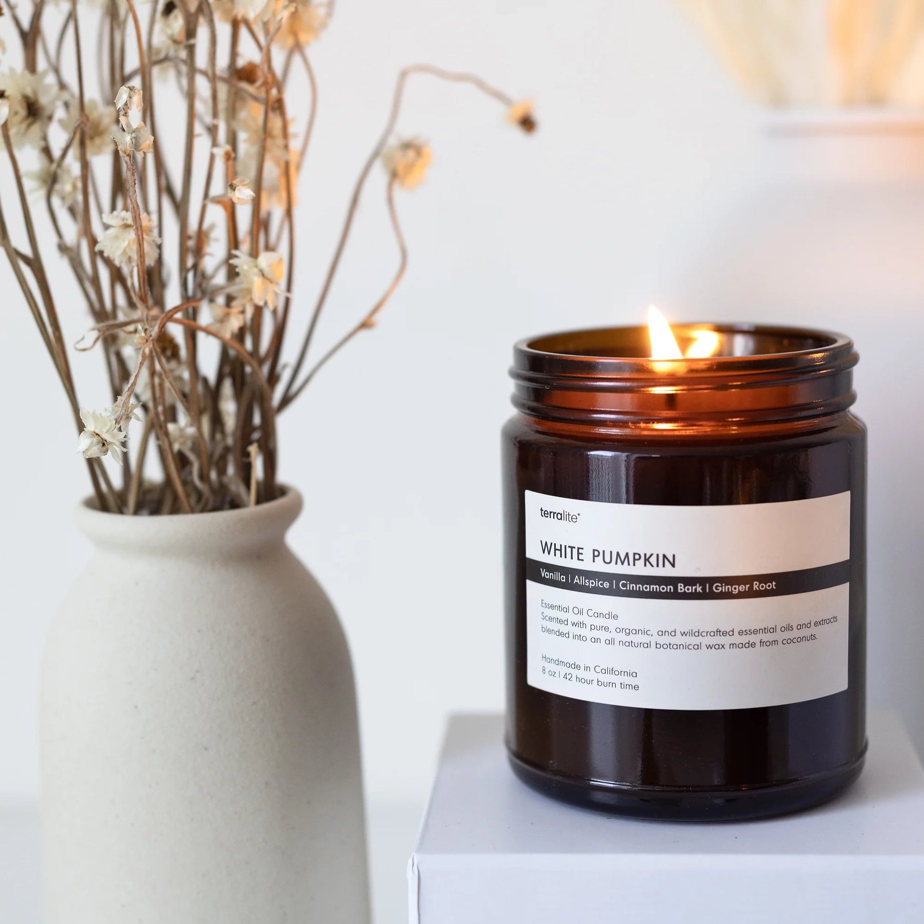 White Pumpkin Essential Oil Candle - 4 oz