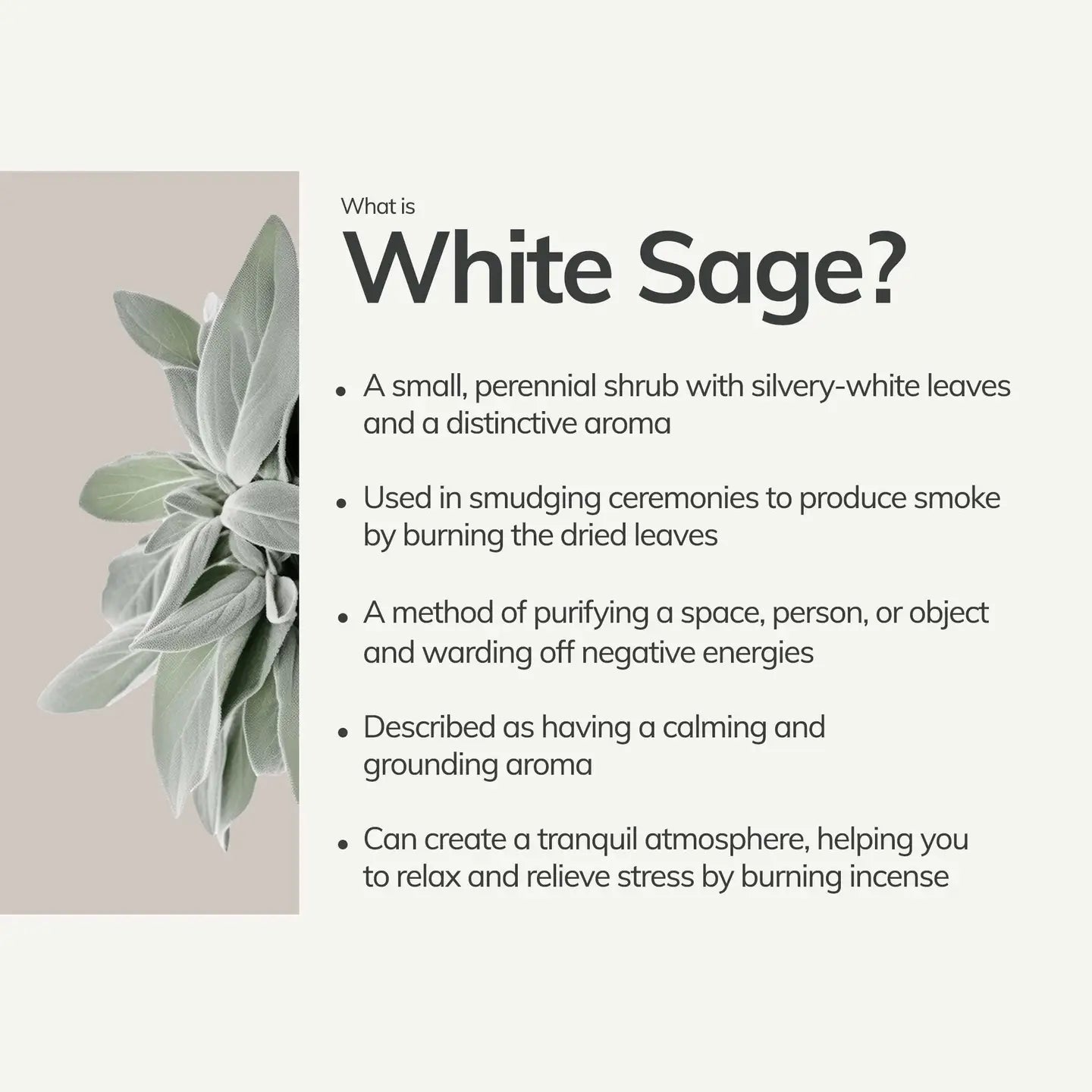 Organic White Sage Hand Rolled Incense