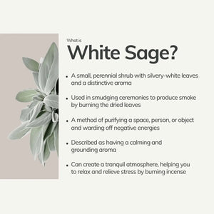 Organic White Sage Hand Rolled Incense