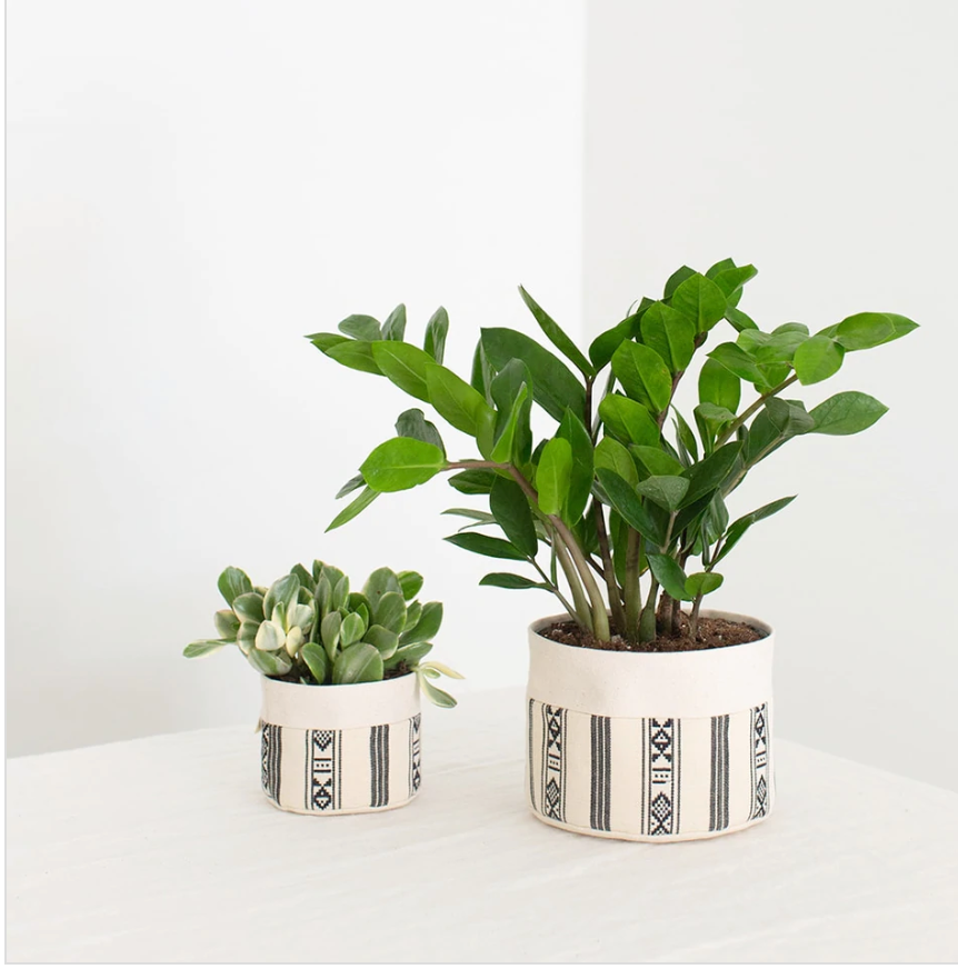 sitting indoor plant pot Small Canvas Sitting Planter