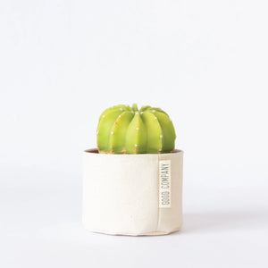 Small Canvas Sitting Planter - Natural