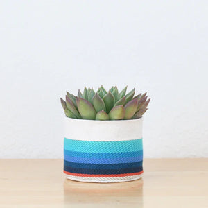 Small Canvas Sitting Planter - Red + Blue 8